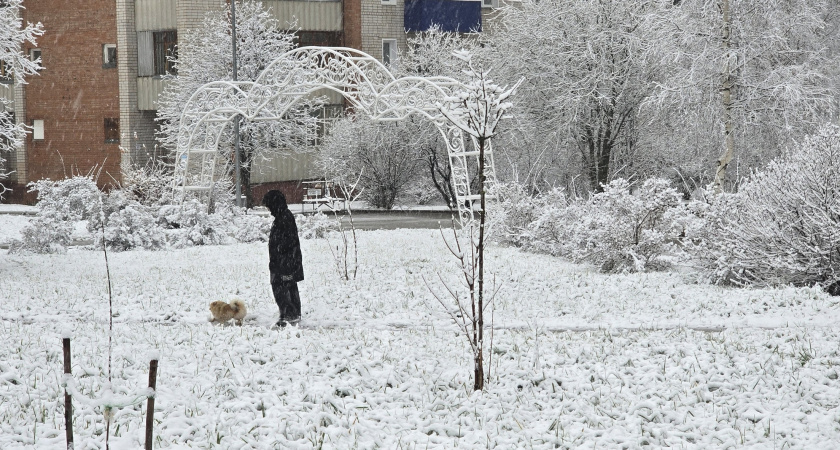 8 декабря в Кировской области прогнозируется понижение температуры