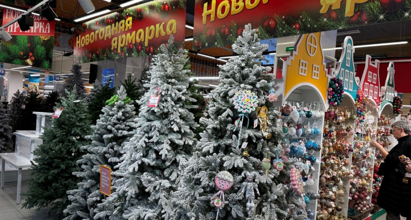  Шары и мишура уходят в прошлое: 3 самых актуальных способа украсить новогоднюю ёлку в этом сезоне