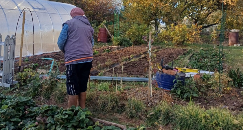 10 растений на даче, с которыми сплошные мучения - пожалейте себя и никогда их не сажайте