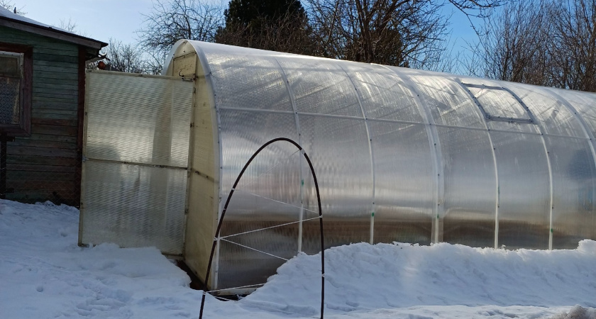 На улице -50, а в теплице зелень растёт: история сибирской семьи, которая подсмотрела технологию у китайцев