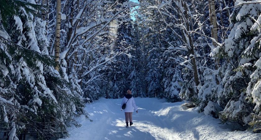 Из Кировской области в два раза вырос экспорт пиломатериалов в Иран