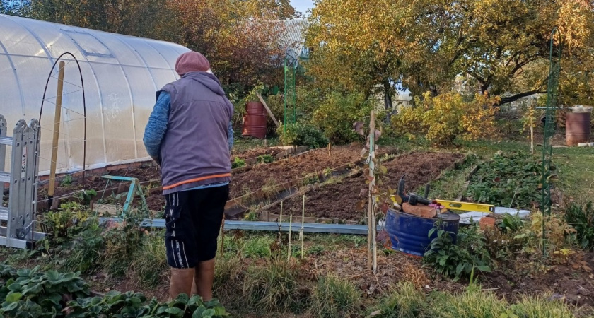 7 кошмарных растений, которые больше никогда не посажу - и другим не советую. Растут везде, а урожая с гулькин нос