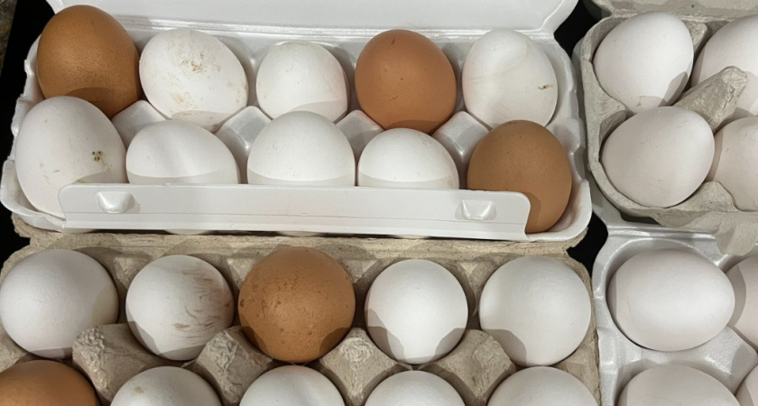 Почему куриные яйца белые и коричневые? Вот какие лучше и полезнее