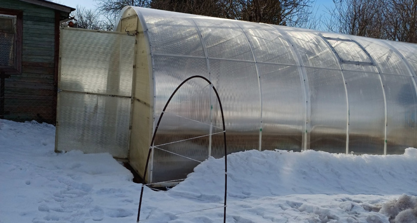 7 бесполезных работ в саду, от которых я откажусь в 2026 году. Проверено: без них урожай только растёт