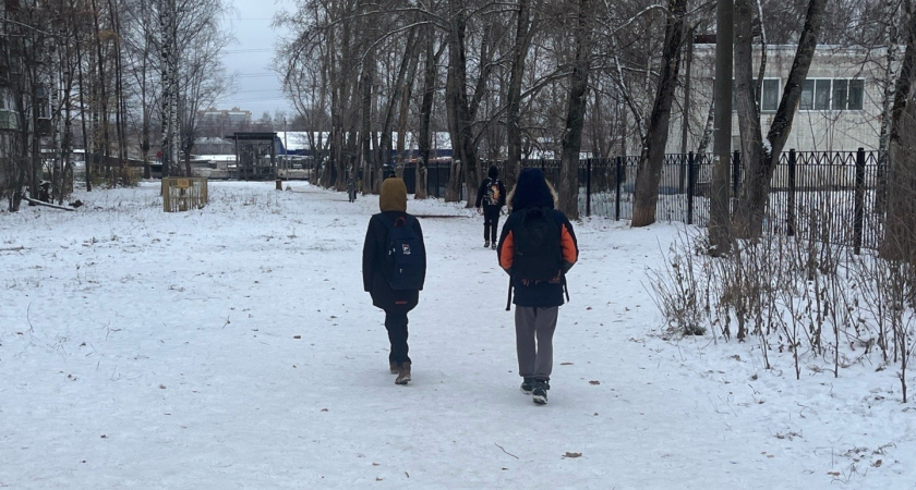 Кировчанка дала сыну поиграть в телефоне и лишилась всех сбережений