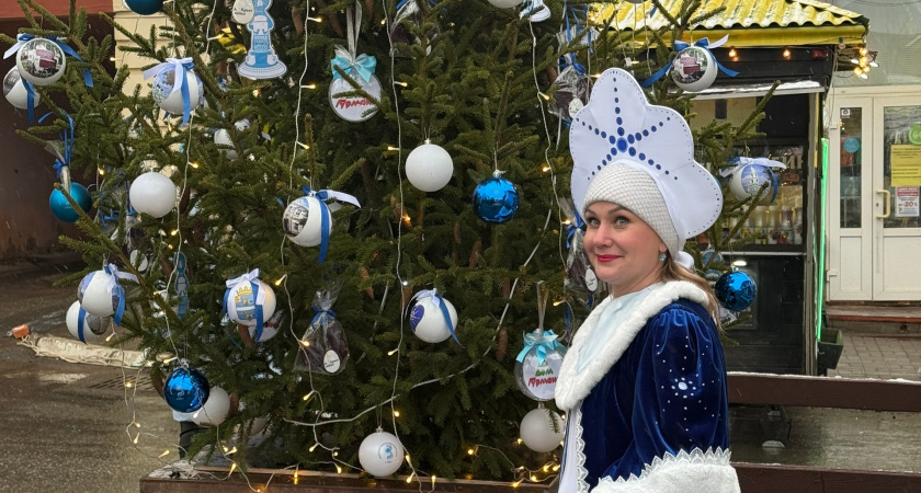 Когда ставить елку 2026: 12 важных дат, которые притянут удачу в дом