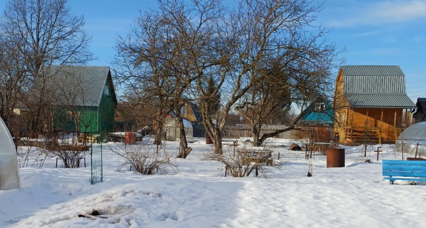 Нашла шикарное удобрение для сада и огорода в зиму - работает на "ура". Даже покупать ничего не надо - все уже ждет бесплатно под ногами 