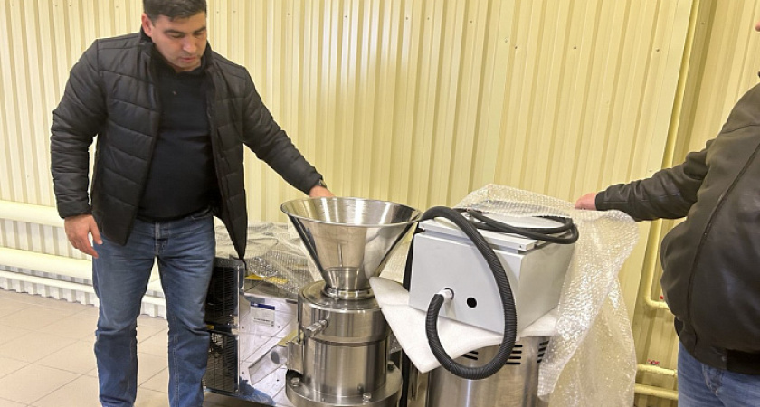 В Кирово-Чепецком районе открылось предприятие по производству сублимированной смородины