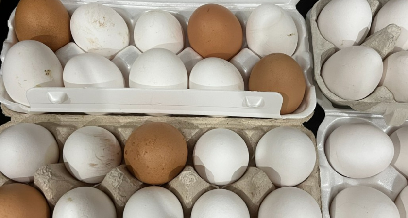 Как идеально сварить яйца: полная инструкция для любого блюда. Берите на заметку