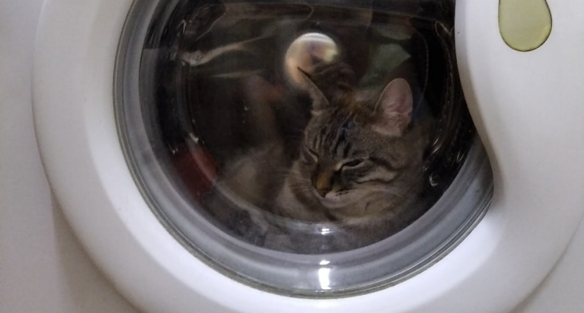 Что можно и нельзя стирать в машинке - жаль, не знал этого раньше