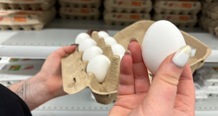 Обходят за версту: почему работники магазинов и птицефабрик не покупают яйца категории С0 - даже с огромной скидкой