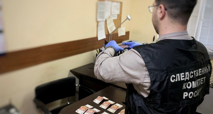 Депутат из Малмыжа лишилась полномочий из-за подозрительной покупки