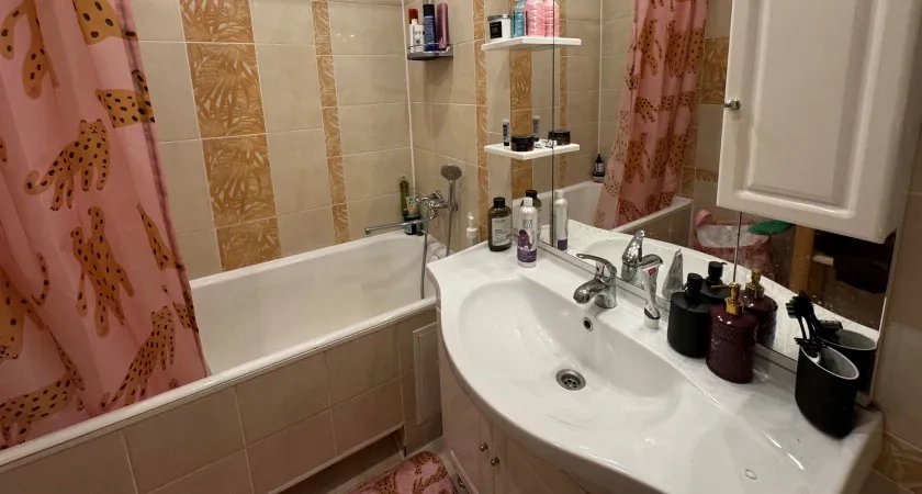 В США и Канаде не пользуются ванной и душем: у них есть еще один вариант и он лучше во всём - хочу себе такой же