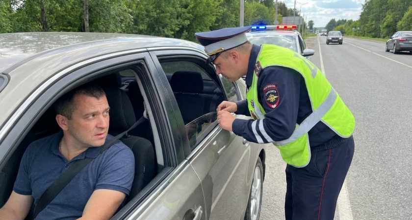 Инспекторы ГАИ заглядывают в салон авто и тщательно его осматривают - вот зачем это нужно на самом деле 