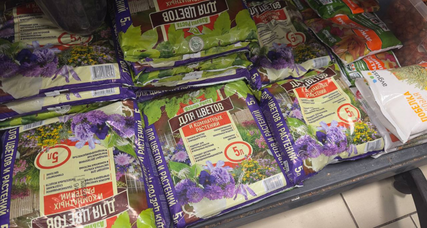 От грунта до гиацинтов: мои лучшие находки для сада в «Фикс Прайсе» — дачники, берите на заметку