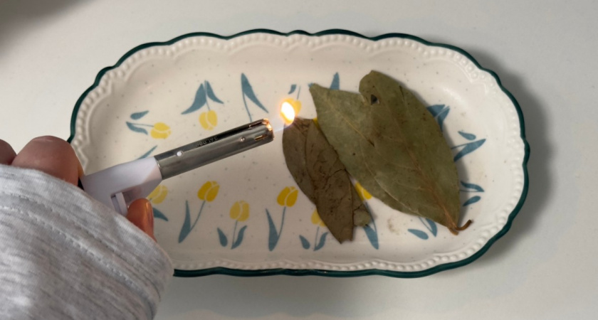 Узнала, зачем хозяйки жгут лавровый лист - сначала смеялась, потом повторила: удивлению не было предела