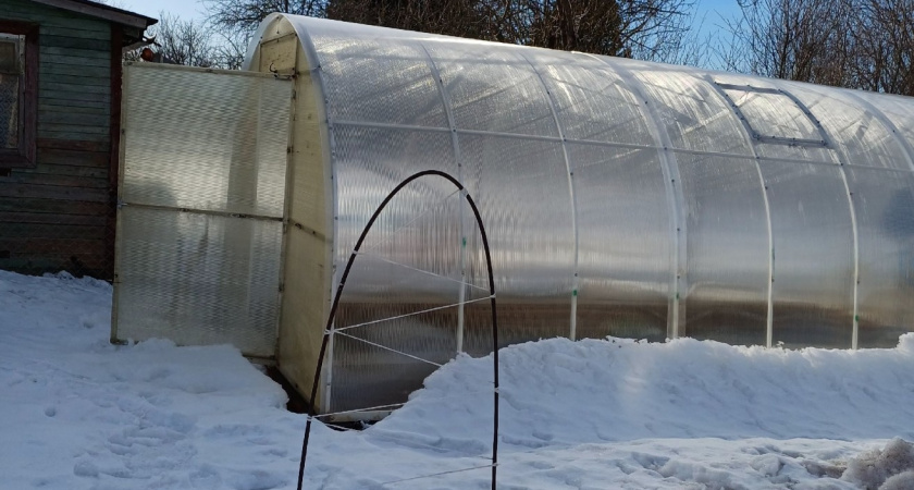 Что нельзя отправлять в компост после новогоднего стола - запомните раз и на всю жизнь