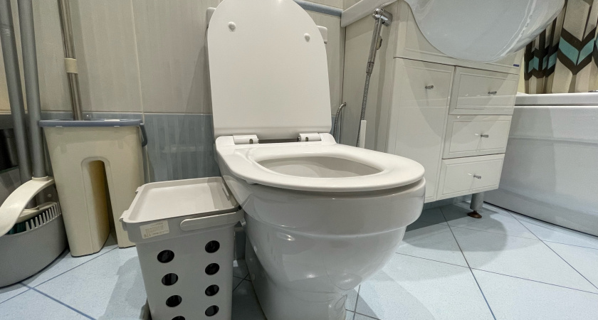 Никакой химии: секретный трюк сантехника, который убирает запах в туалете за 30 секунд. Пользуюсь даже в гостях