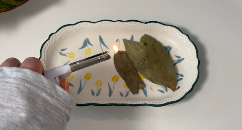 Перестала смеяться, когда узнала, зачем хозяйки жгут лавровый лист в квартире