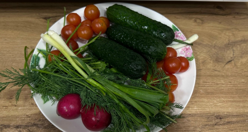 5 сортов огурчиков, которые точно посажу на следующий год - нежные и хрустящие. Дети едят прямо с ветки