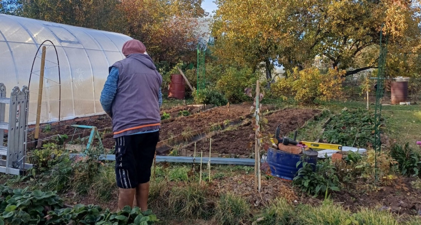 Надо трижды подумать, прежде чем сажать щавель в огороде - и вот почему. Испортит весь участо