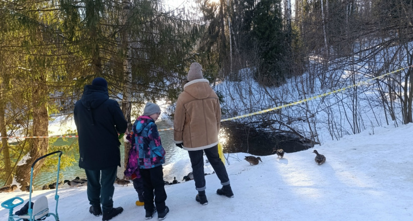 Стало известно, какая погода ждет чепчан 30 декабря