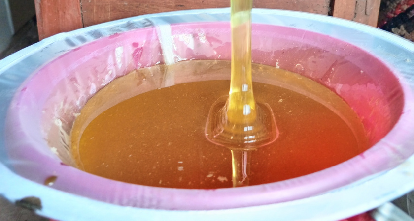 Как разоблачить фальшивый мёд за полминуты без химии - работает безотказно