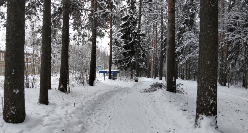 Чепчан ждет холодное начало года