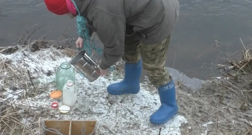 От сыворотки до штрафа: как в Котельничском районе выявили нелегальный слив отходов