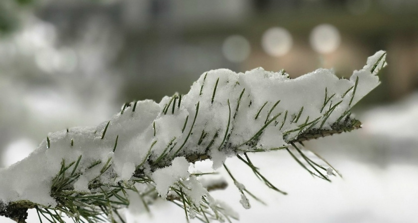 На Кировскую область надвигается новая волна снегопадов