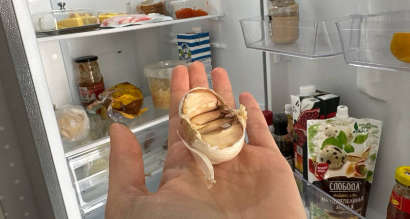 Почему чеснок нельзя хранить в холодильнике: 99% хозяек совершают эту ошибку