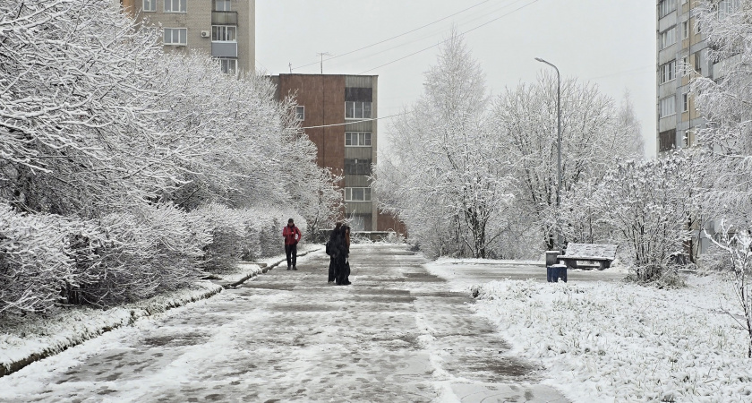 7 типов людей, от которых нужно бежать подальше: Михаил Жванецкий рассказал, с кем не стоит общаться