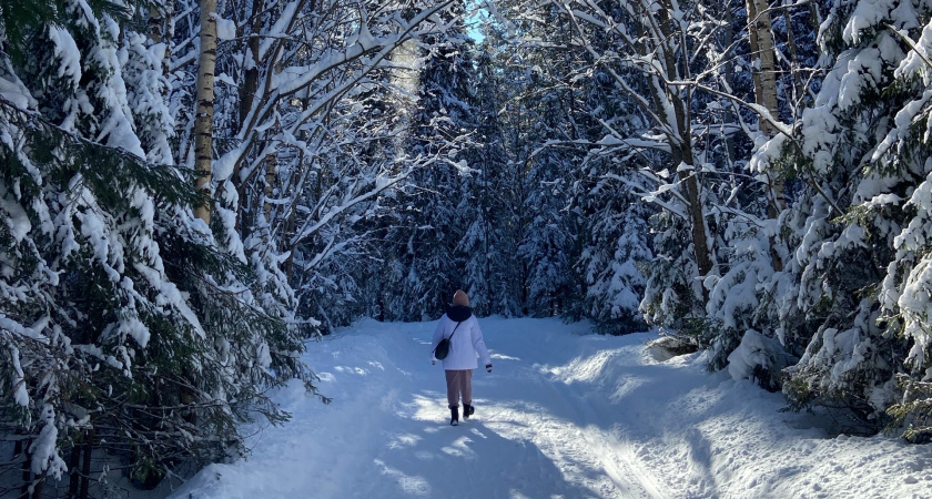В Кировской области выдано 26 охотничьих билетов за декабрь