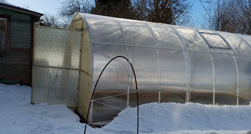 Зимой всегда закидываю снег в теплицу - и еще 4 хитрости для богатого урожая. Вот как правильно ухаживать