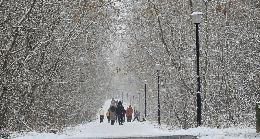 Сибирский антициклон принес в Кировскую области продолжительные морозы