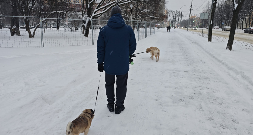 Что нельзя никогда прощать: мудрая фраза Артура Шопенгауэра, которую стоит запомнить на всю жизнь