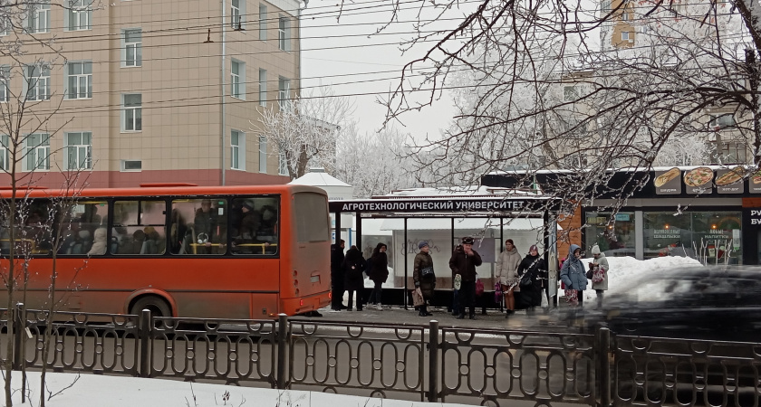 В каких случаях нужно уступать автобусу на остановке, а когда – нет: в ПДД есть нюансы