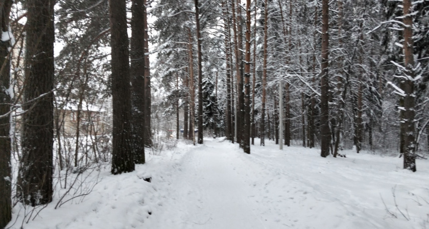 Чем сильнее мороз, тем жарче в доме: забытая разработка советских физиков, которая экономит до 70% на отоплении