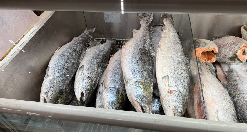 Рыбу чищу руками без ножа и кипятка: кухня не пачкается - испанский метод действительно работает