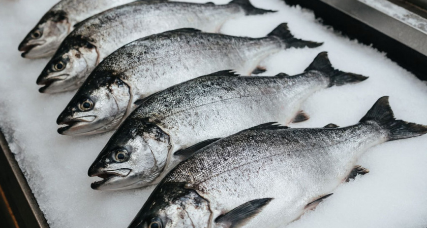 Как выбрать горбушу с икрой: секрет от продавщиц с рынка