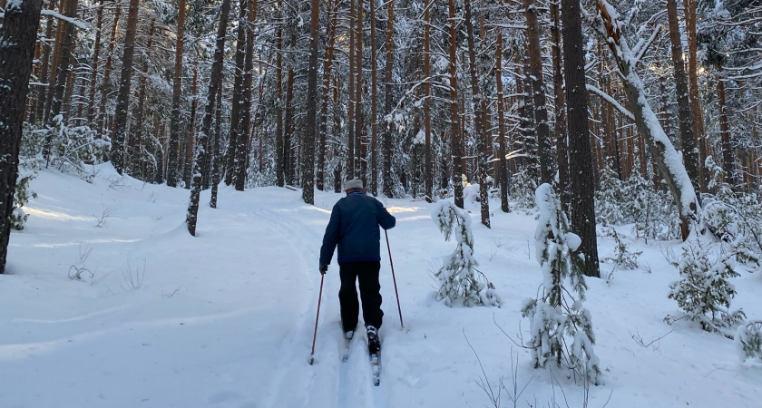 Кировская область поставила в Китай свыше 650 тонн палочек для мороженого