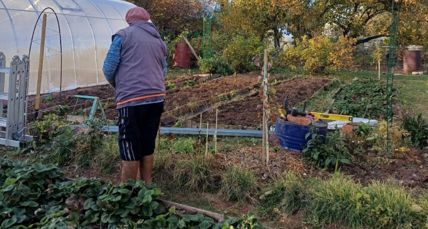 Еще Мичурин запрещал, а мы сажаем и радуемся - этим деревьям не место на участке. Вредят саду и разрушают постройки