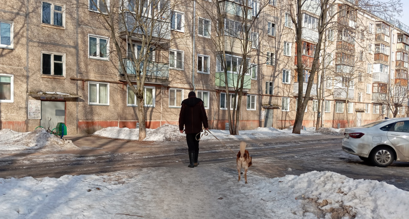 В России за 2025 год выдачи ипотеки сократились на 9 процентов