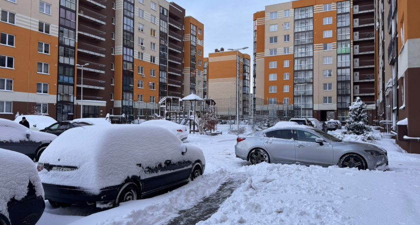 Сколько прогревается моторное масло, если на улице -25? Механик поставил точку в вопросе