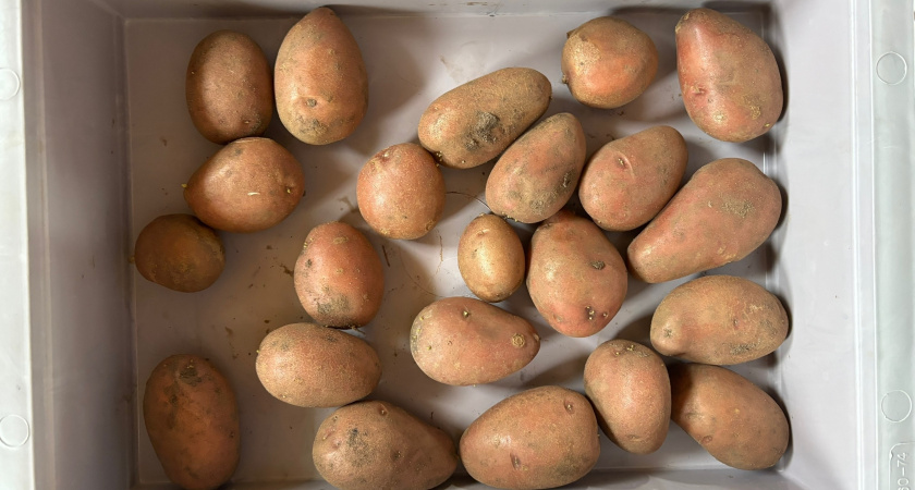 Варила картошку неправильно всю жизнь: белорусские лайфхаки, которые удивят даже крутых поваров