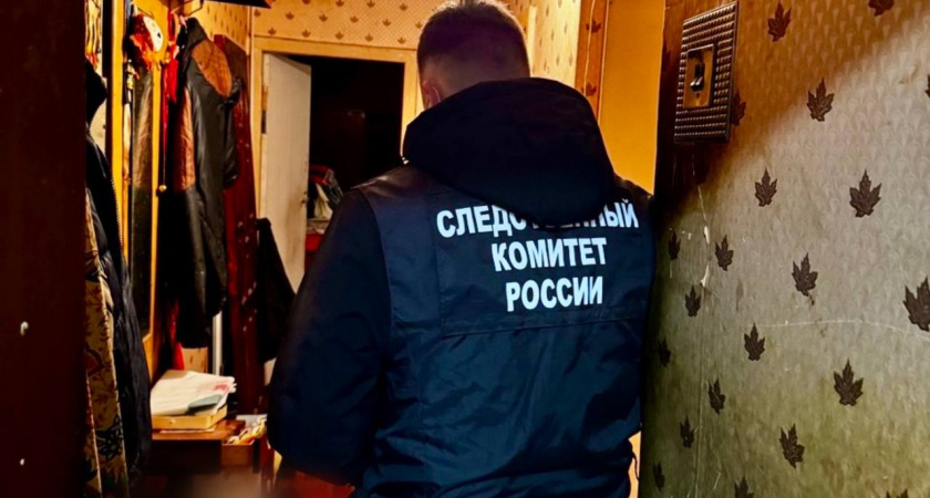 90-летний кировчанин получил от сына удар ножом в шею