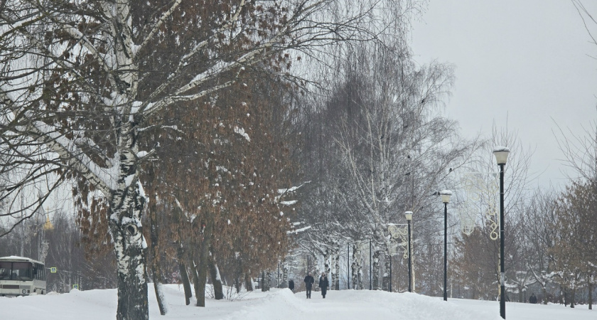 Известно, какая погода ждет чепчан 20 января