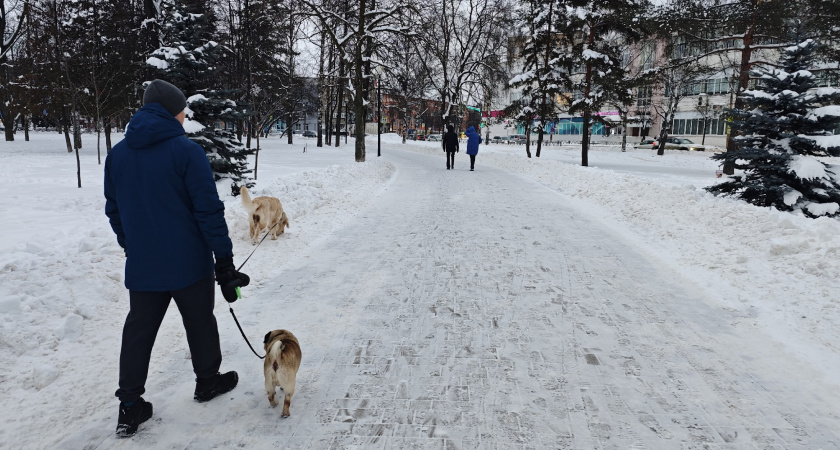 Когда дети не уважают и игнорируют вас не злитесь, а сделайте эти 7 шагов: это 100% поможет, говорят психологи