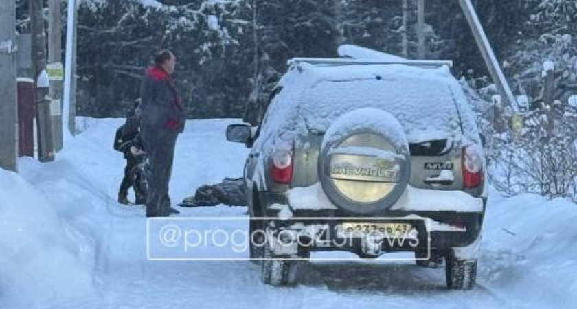 Под Кировом немецкая овчарка напала на мужчину