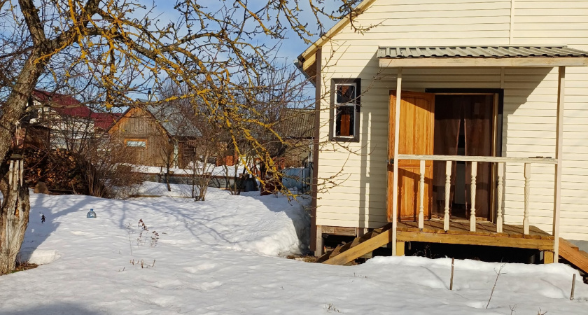 Один час в январе может спасти сад весной: что стоит обязательно сделать на участке зимой